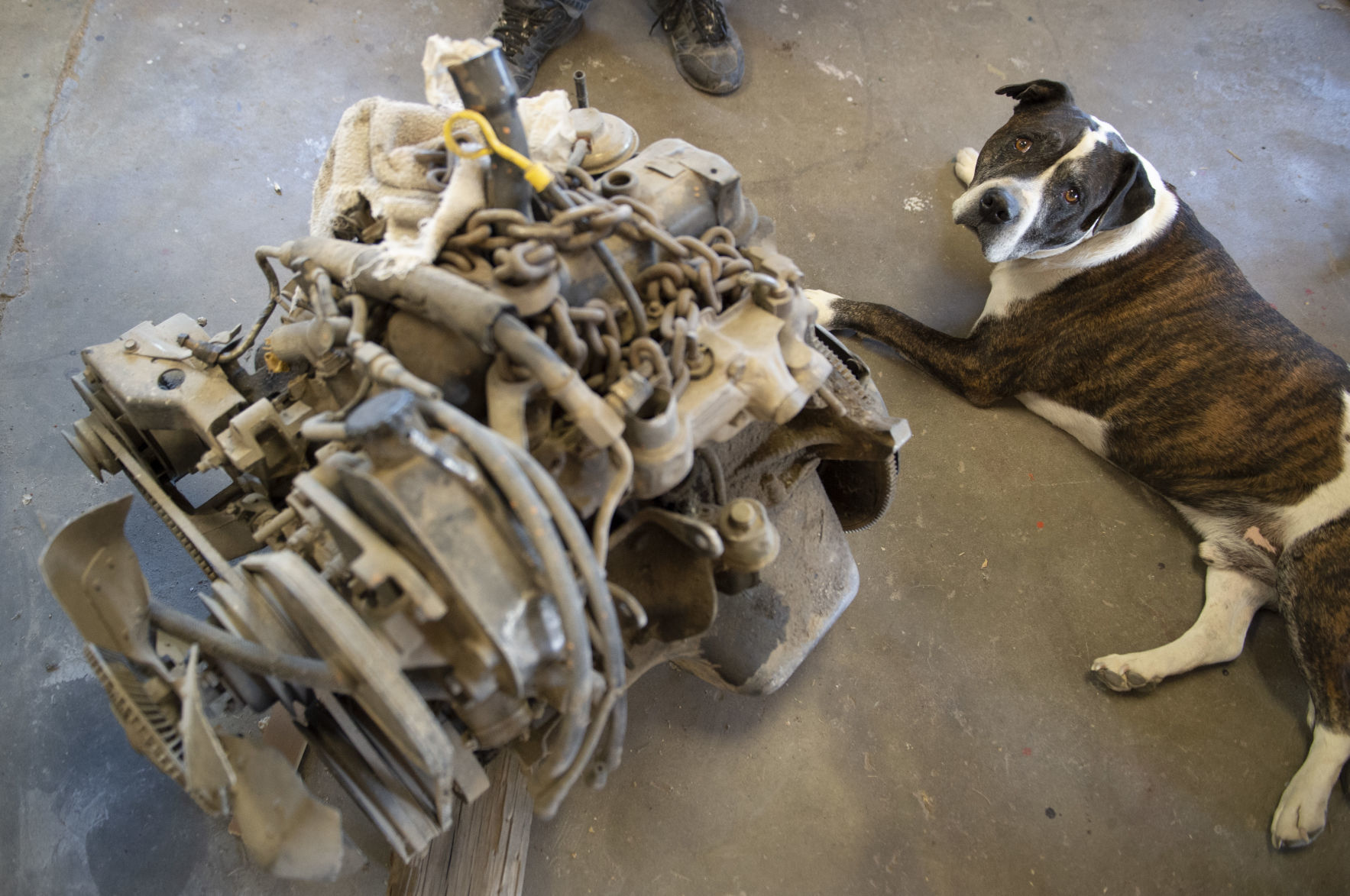 Classic cars getting a second chance